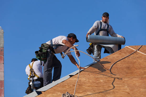 Best Roof Gutter Cleaning  in Westgate, FL